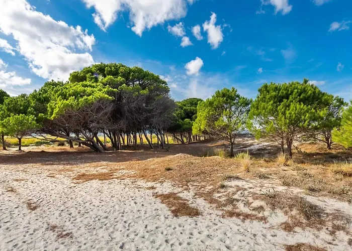 Near La Caletta Beaches Daire *